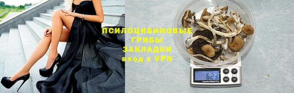 прущие грибы Липки