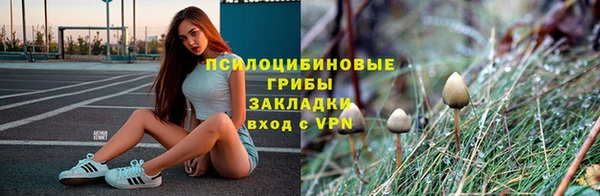 spice Ладушкин