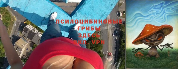ешки Кукмор