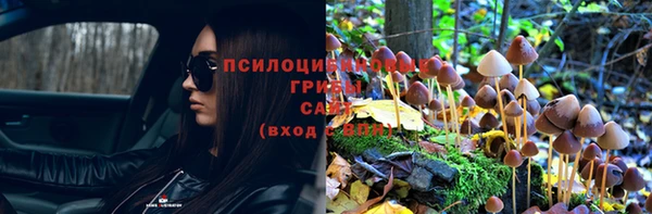 ешки Кукмор