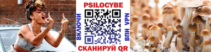 Псилоцибиновые грибы Psilocybine cubensis  Кореновск 