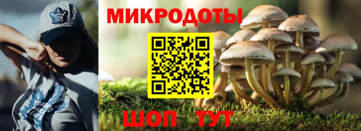 Галлюциногенные грибы прущие грибы Кореновск