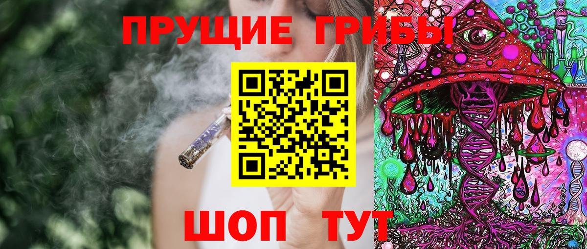 Кореновск  Галлюциногенные грибы Cubensis  Вход с VPN 